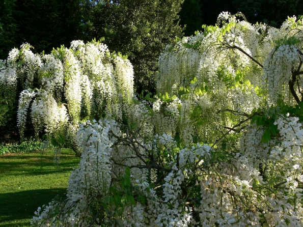 Bois des Moutiers (65) Juin 2012